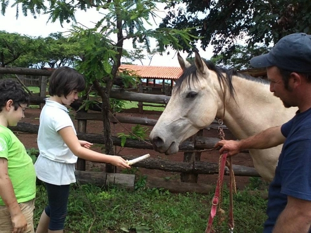 Activities with horses 